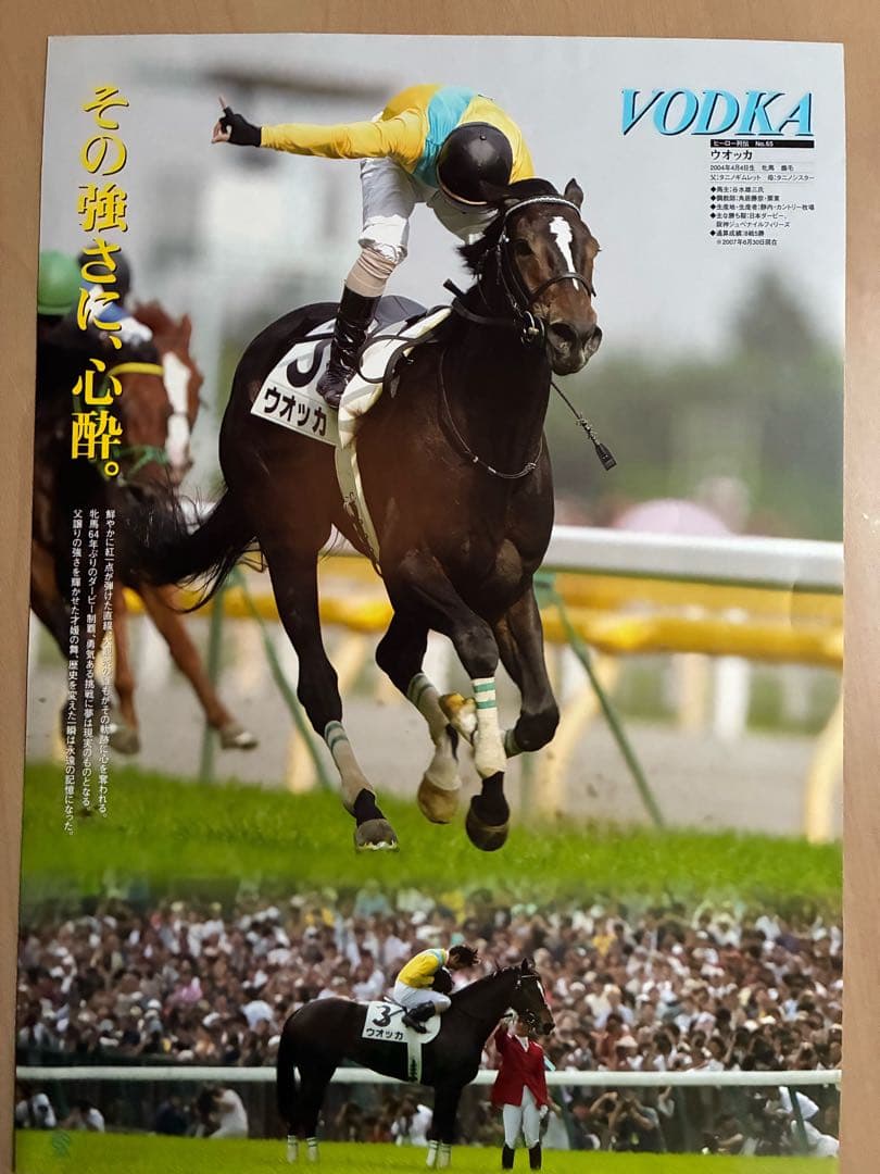 〜3/5限定値下げ JRAヒーロー列伝 NO.65 ウォッカ