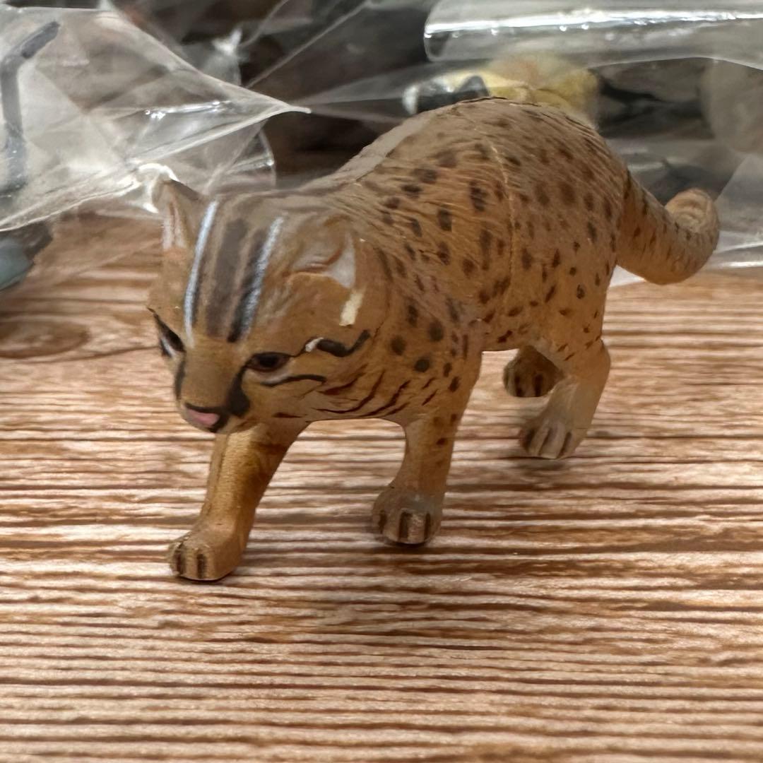 チョコQアニマルテイルズ 日本の動物230体以上まとめ売りSET