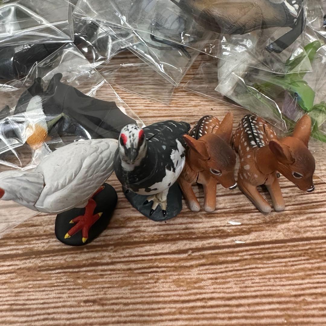 チョコQアニマルテイルズ 日本の動物230体以上まとめ売りSET