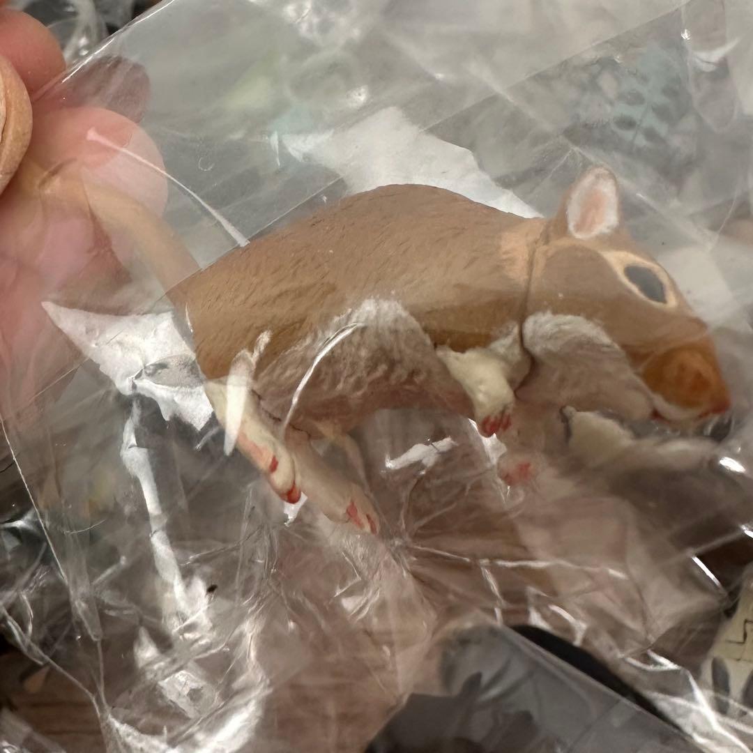 チョコQアニマルテイルズ 日本の動物230体以上まとめ売りSET