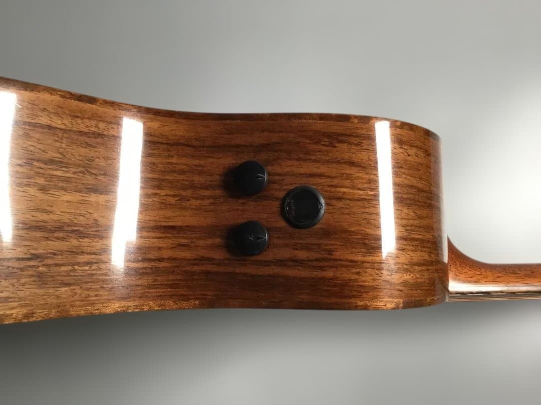 ⭐激レア⭐縦ロゴMartin GPC　PA1　Plus 2010製