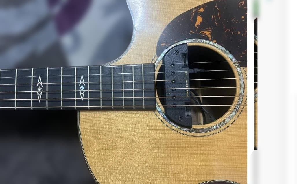 ⭐激レア⭐縦ロゴMartin GPC　PA1　Plus 2010製