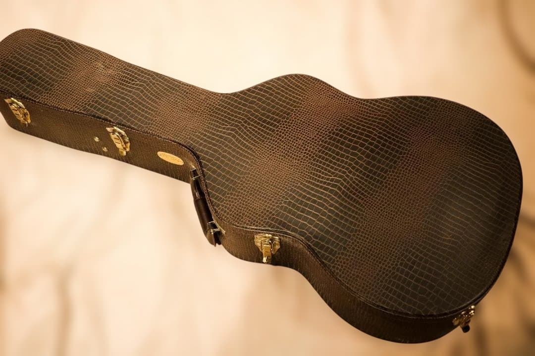 ⭐激レア⭐縦ロゴMartin GPC　PA1　Plus 2010製