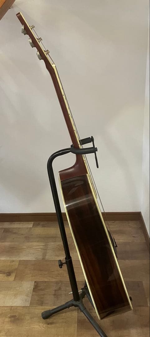 【Morris/モーリス】アコースティックギター MD-515