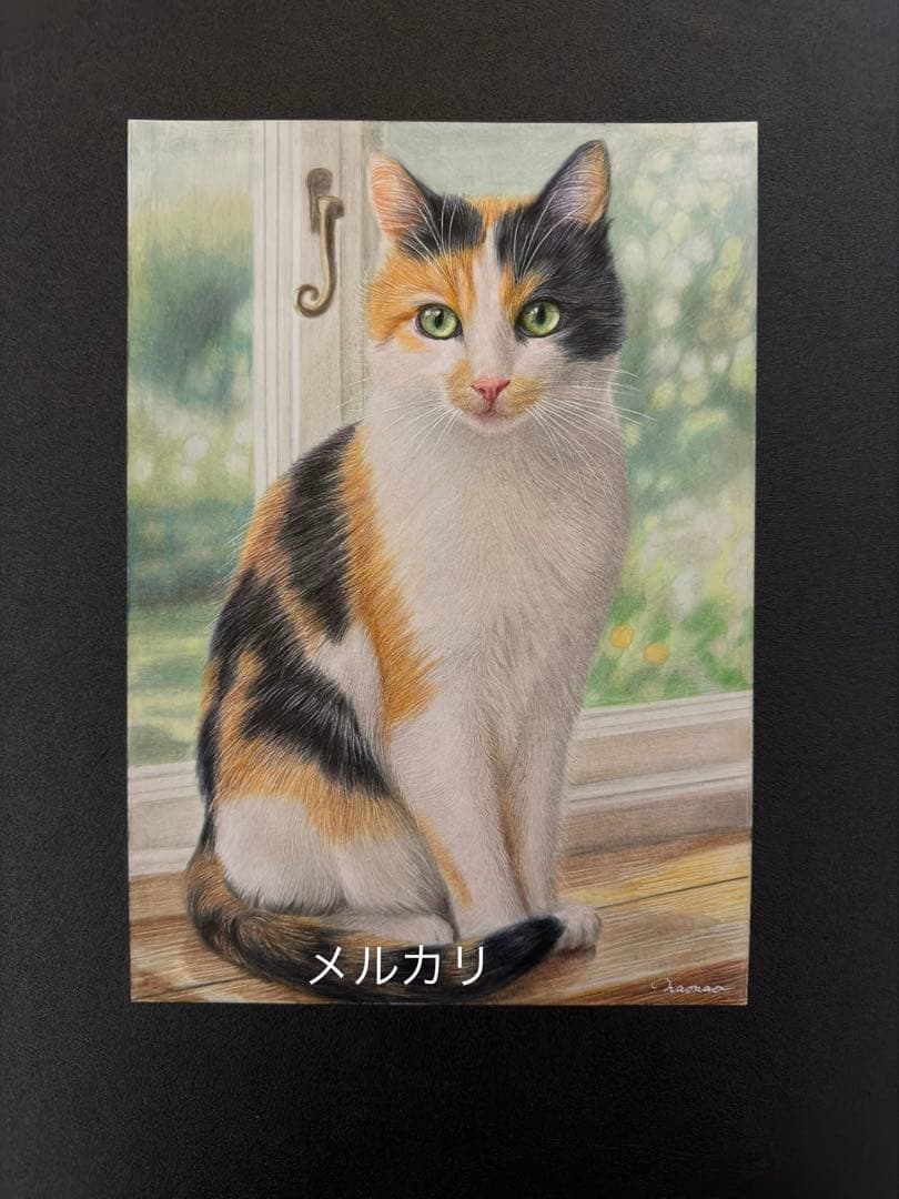 色鉛筆画 A4窓辺の三毛猫