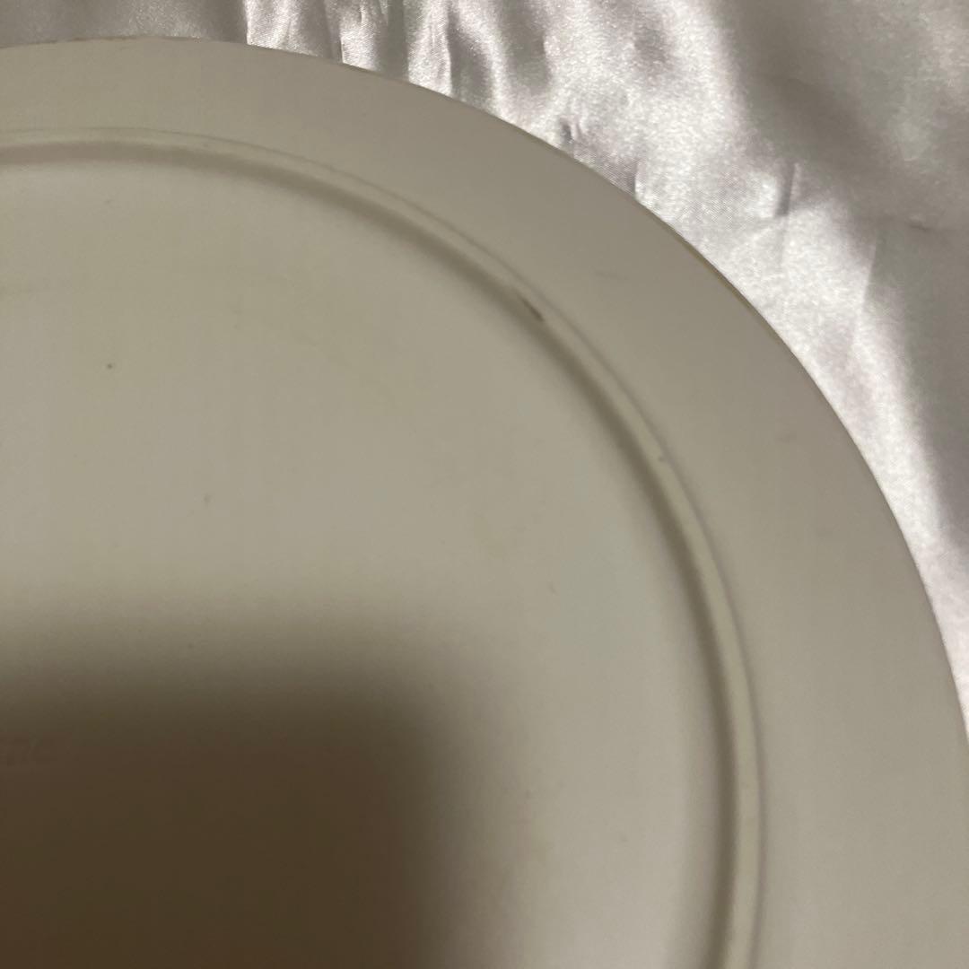 ルザーン　プレート　Luzerne 2枚セット