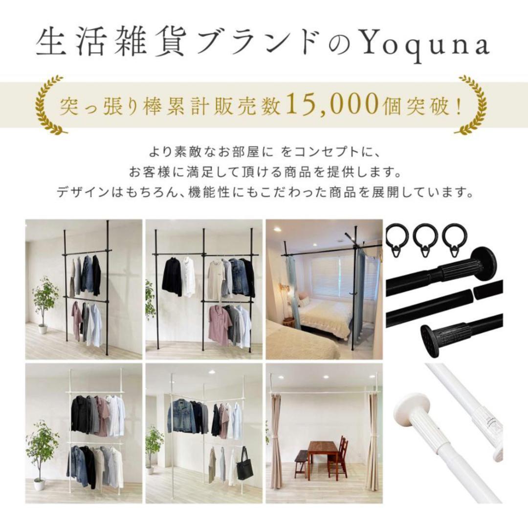 ハンガーラック 突っ張り フォース 全体耐荷重240kg ブラック