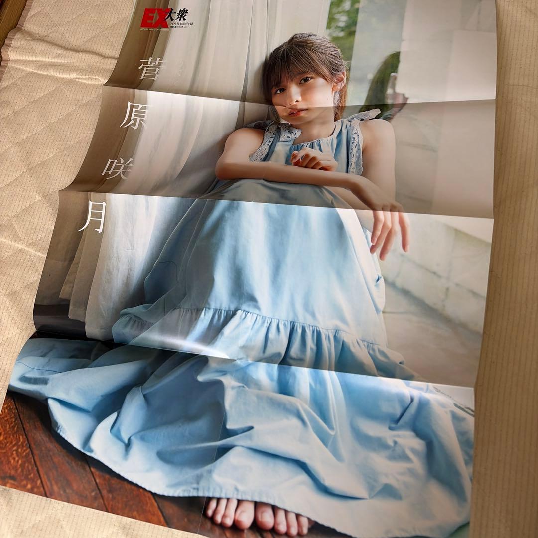 乃木坂46 グッズ.ポスター等 まとめ売り