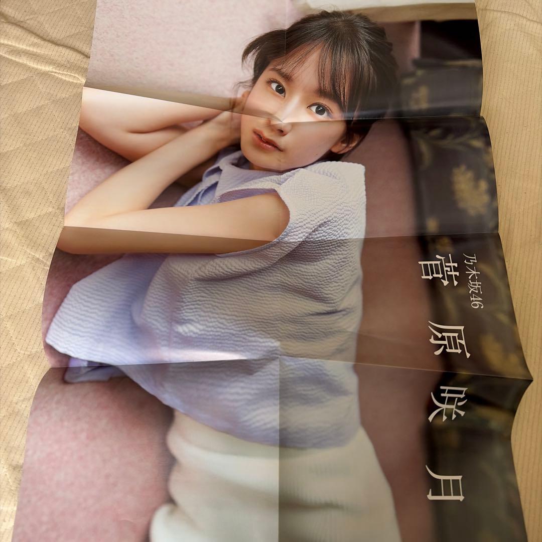 乃木坂46 グッズ.ポスター等 まとめ売り
