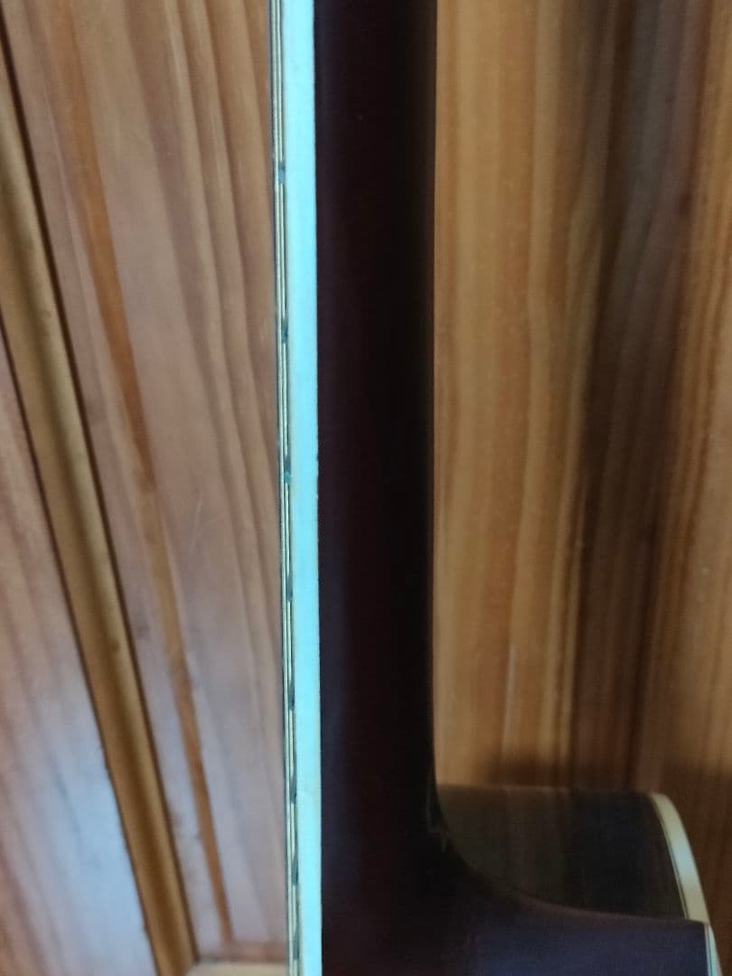 El Martin アコースティックギター