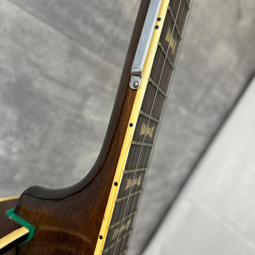 Morris Custom V-120 バンジョー 5弦 日本製 REMOヘッド