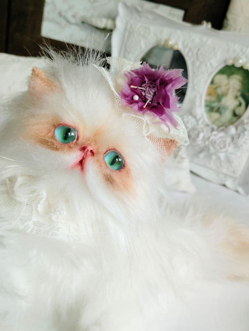 エキゾチックロングヘア♡綺麗な子猫ちゃん♡アートドール♡ぬいぐるみ♡