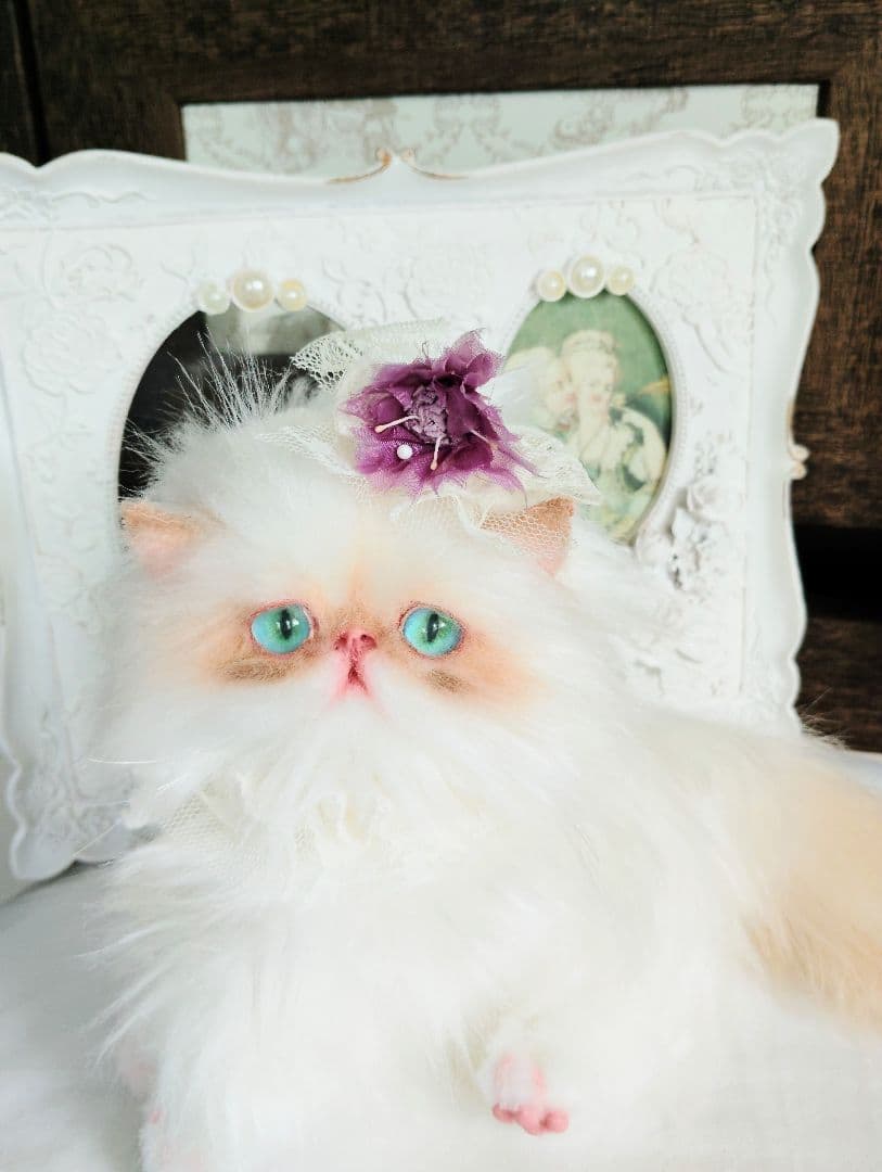 エキゾチックロングヘア♡綺麗な子猫ちゃん♡アートドール♡ぬいぐるみ♡