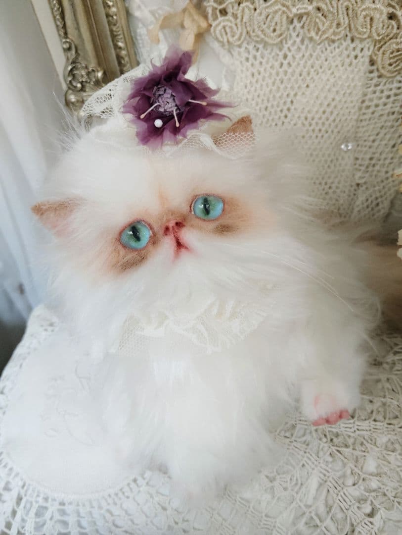 エキゾチックロングヘア♡綺麗な子猫ちゃん♡アートドール♡ぬいぐるみ♡