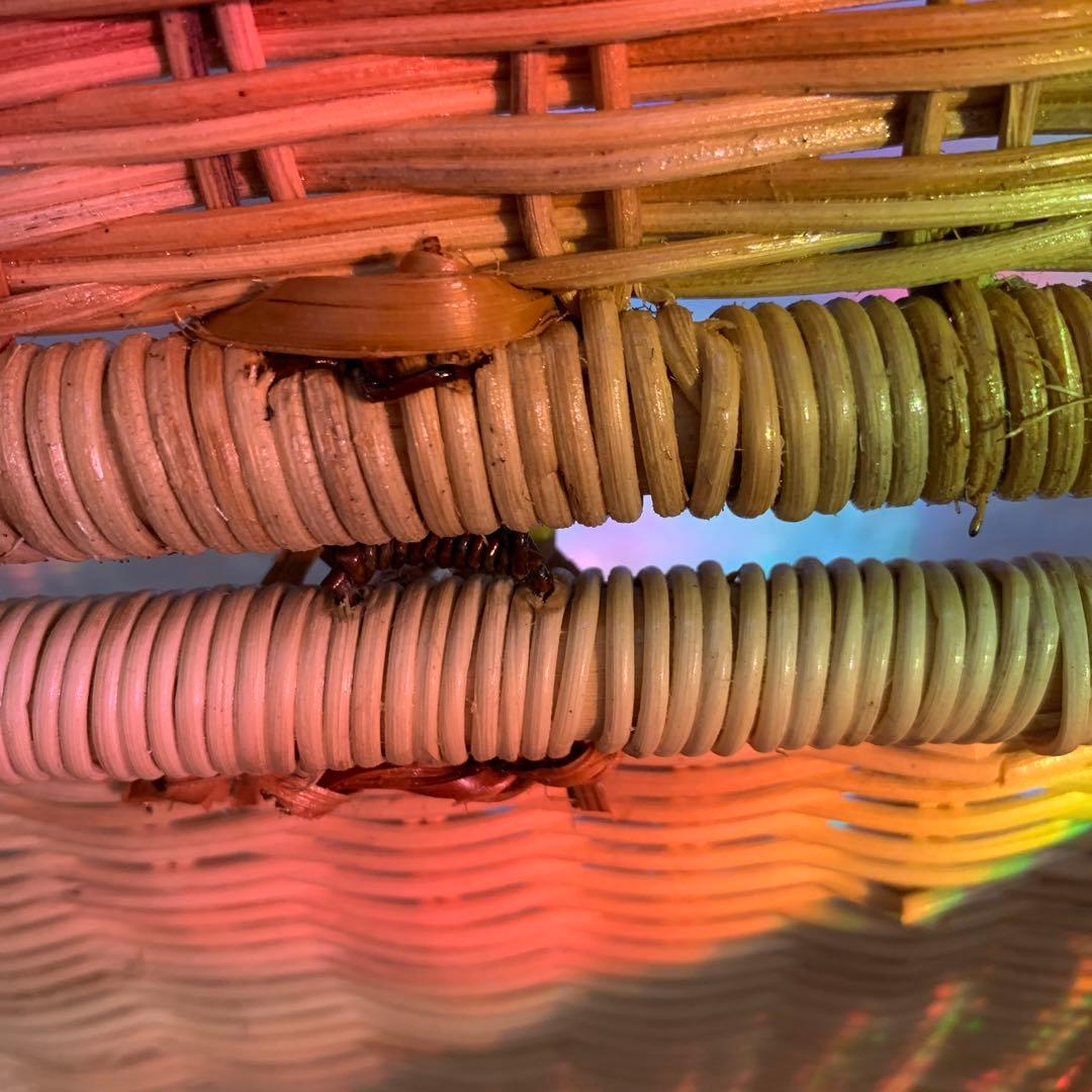 ラタン製 ペットキャリー カゴバック