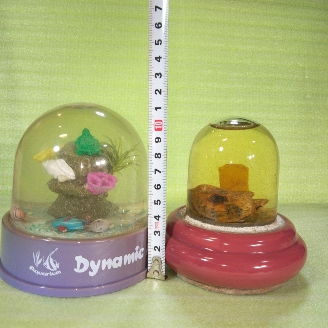 ①Dynamic Aquarium　②真珠貝　ガラスドーム　①②セット　おまとめ