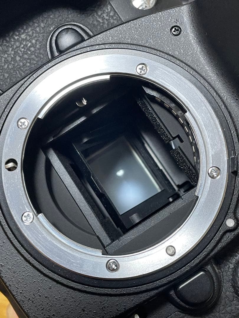 ■美品■　Nikon D200 5264枚　CFアダプタ、バッテリー付き　他