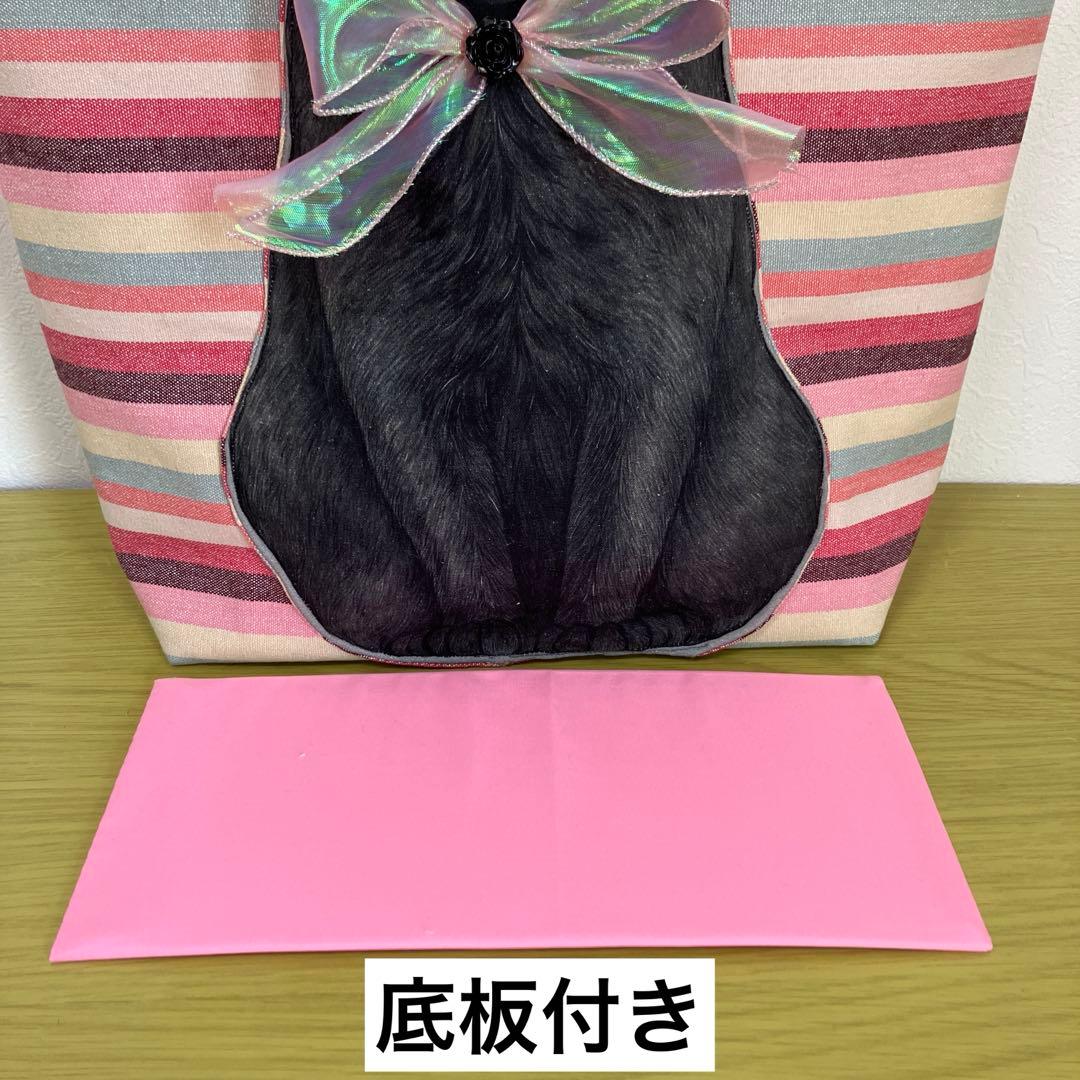 コヤンイサムチョン　キャスキッドソン　BIG黒猫　大容量　横44縦30マチ14㎝