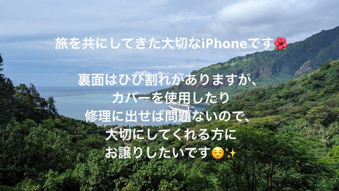 【ポリネシア購入】iPhone 15 Pro 512GB シャッター音なし