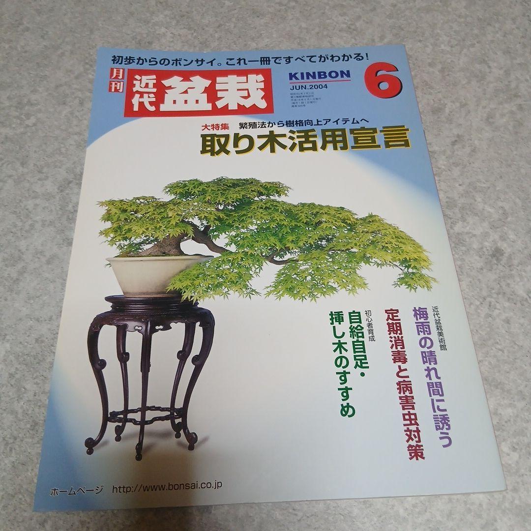 ​【6冊セット】近代盆栽 バックナンバー（取り木・芽切り・挿し木など実技特集号）