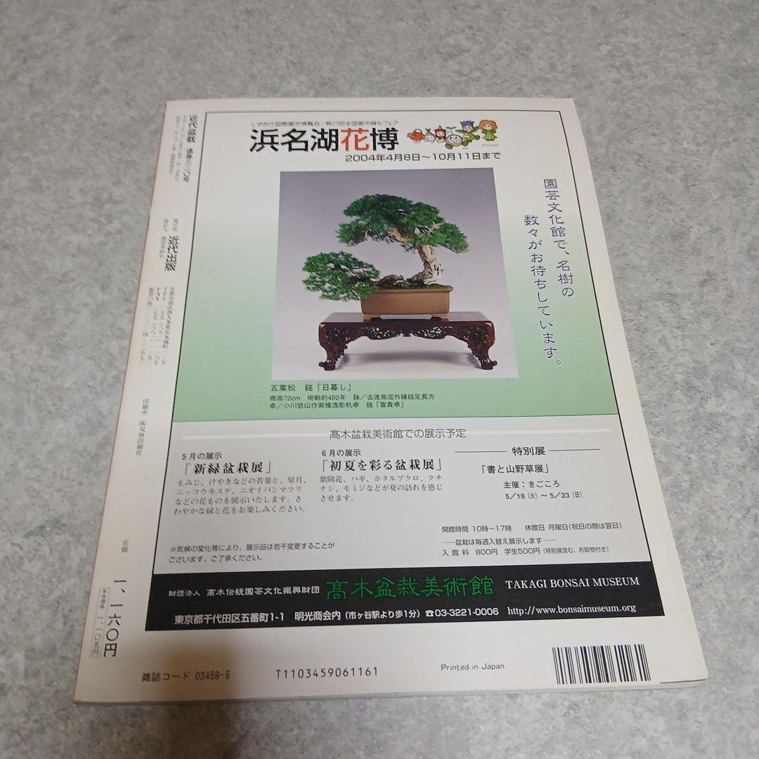 ​【6冊セット】近代盆栽 バックナンバー（取り木・芽切り・挿し木など実技特集号）