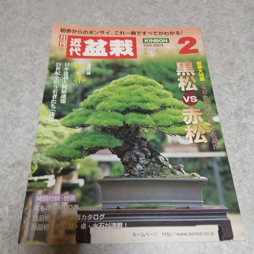 ​【6冊セット】近代盆栽 バックナンバー（取り木・芽切り・挿し木など実技特集号）