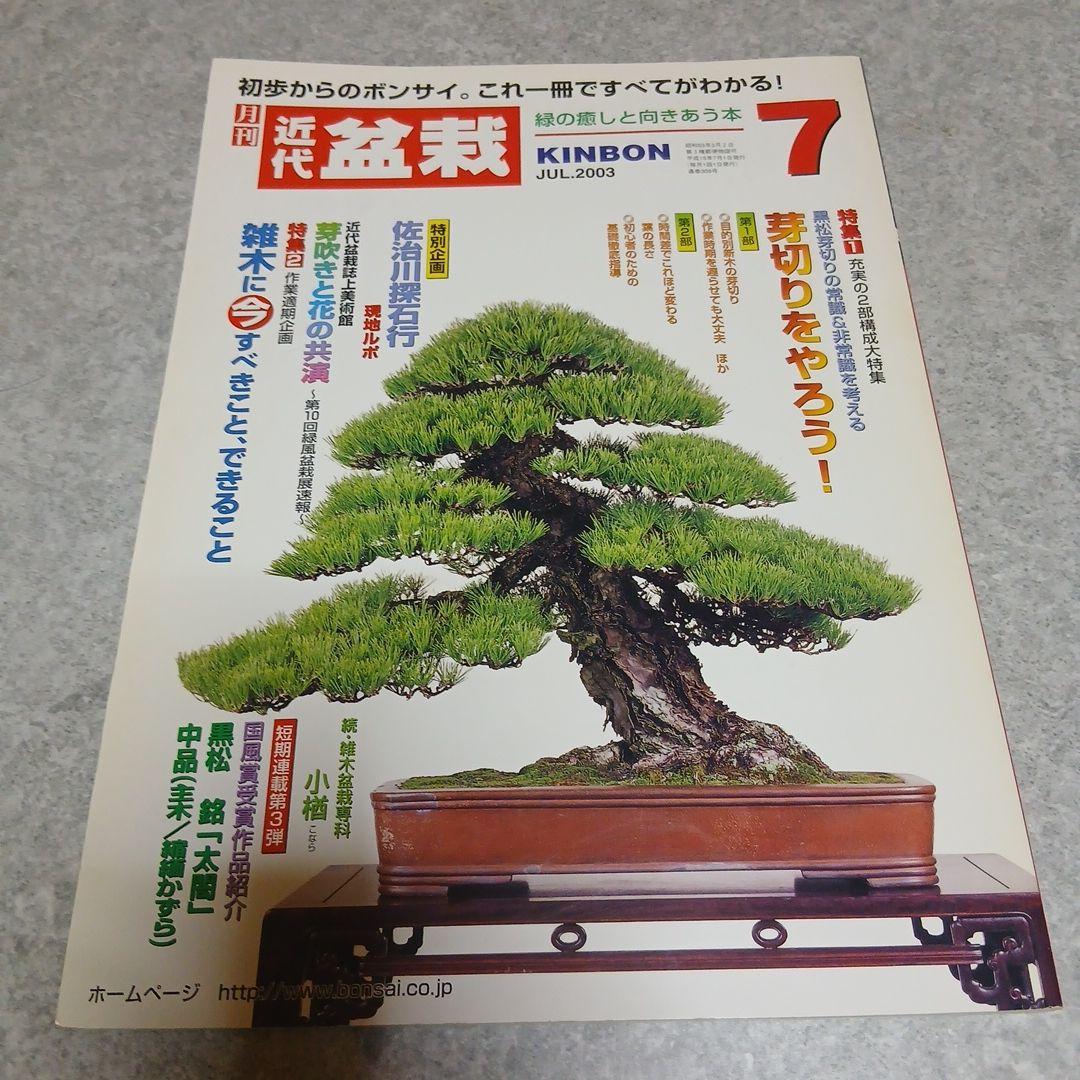 ​【6冊セット】近代盆栽 バックナンバー（取り木・芽切り・挿し木など実技特集号）