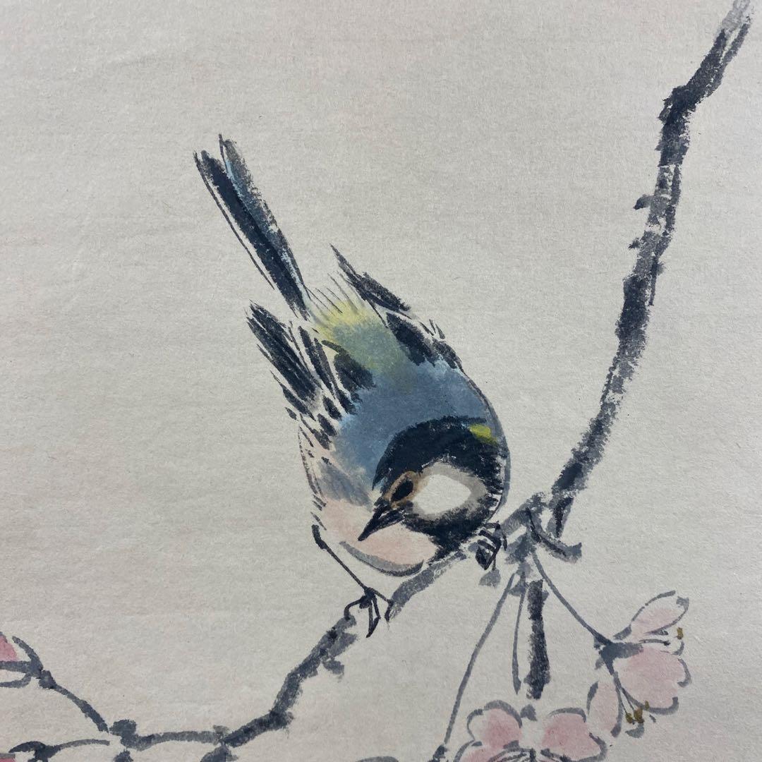 美品 掛け軸 寿昌作 桜図 共箱 花鳥 縁起物 年中掛け