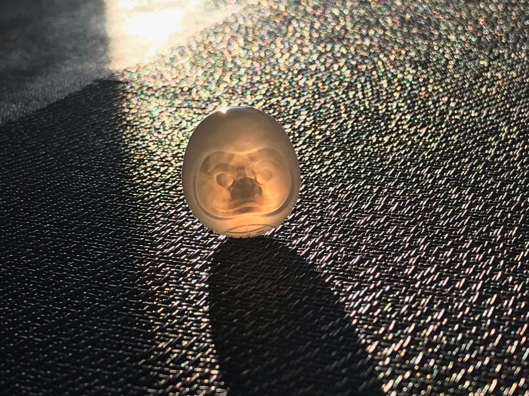 ゴビ石−1438 ゴビ瑪瑙　彫刻　『だるまさん』