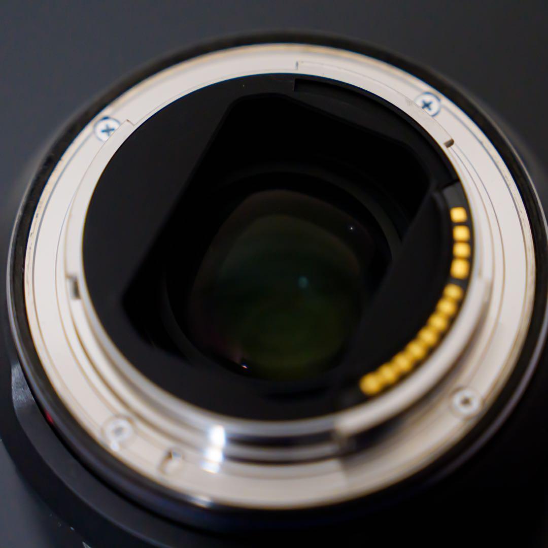 【本体のみ】CANON RF24-105mm F4L IS USM