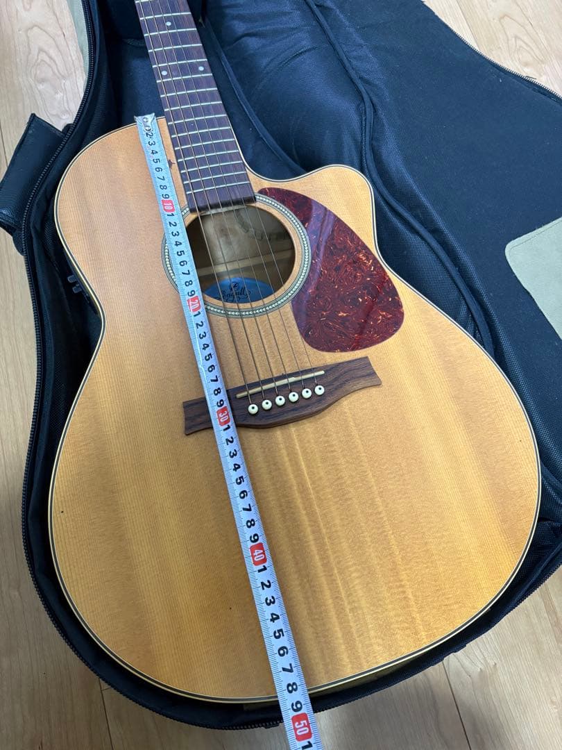 エレアコ　ギター seagull Amber Trail シーガル