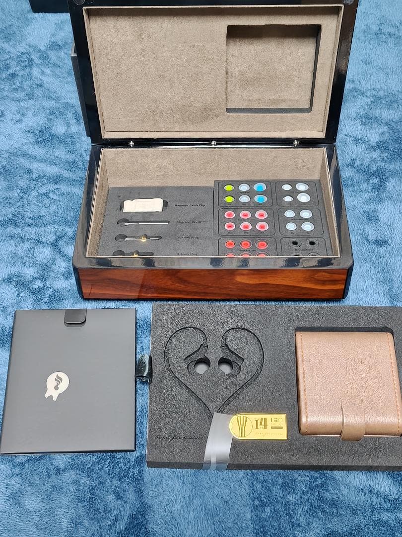 イヤホン Fiio FDX