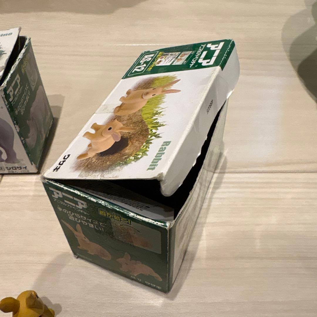 アニア　廃盤　まとめ売り