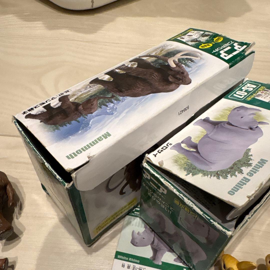 アニア　廃盤　まとめ売り