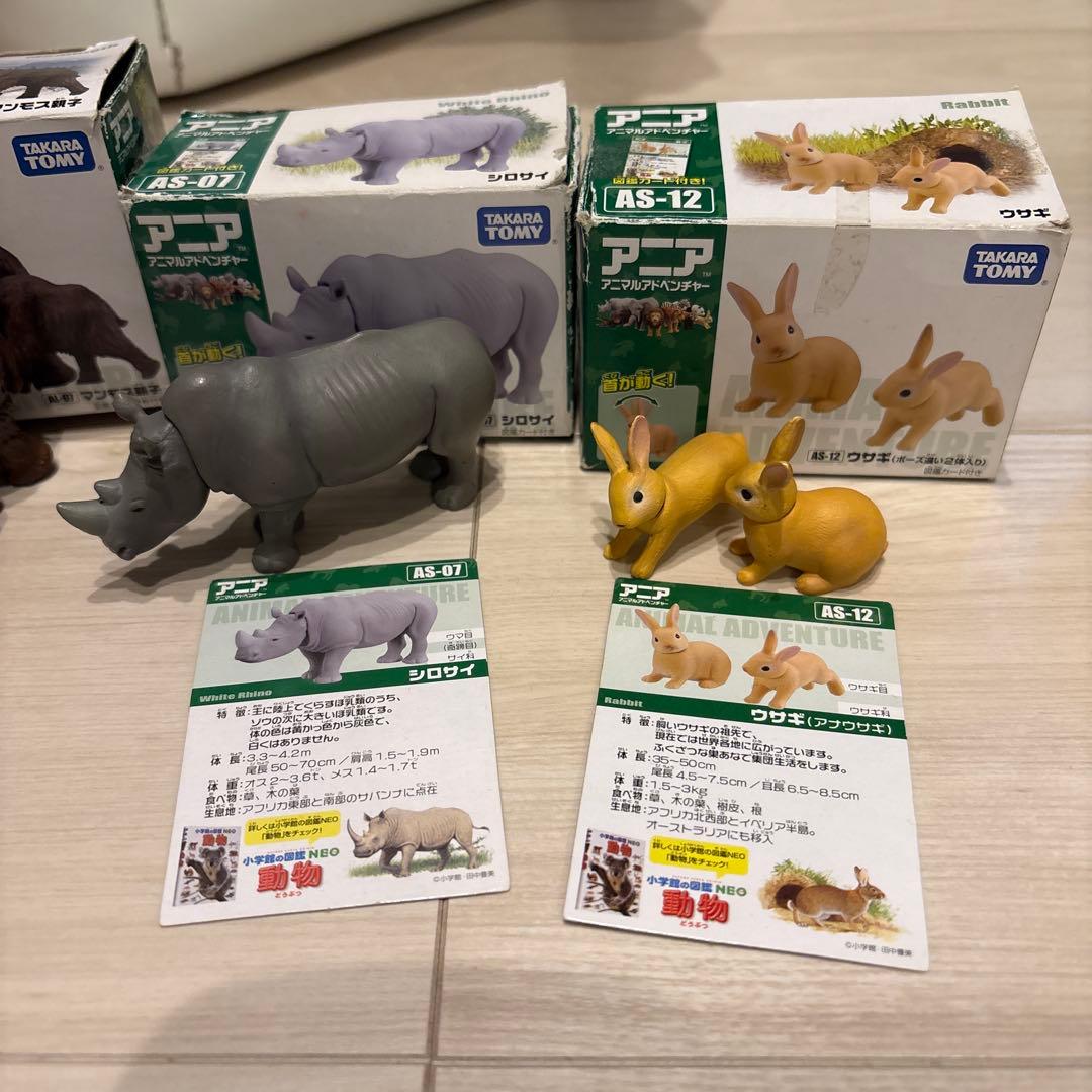 アニア　廃盤　まとめ売り