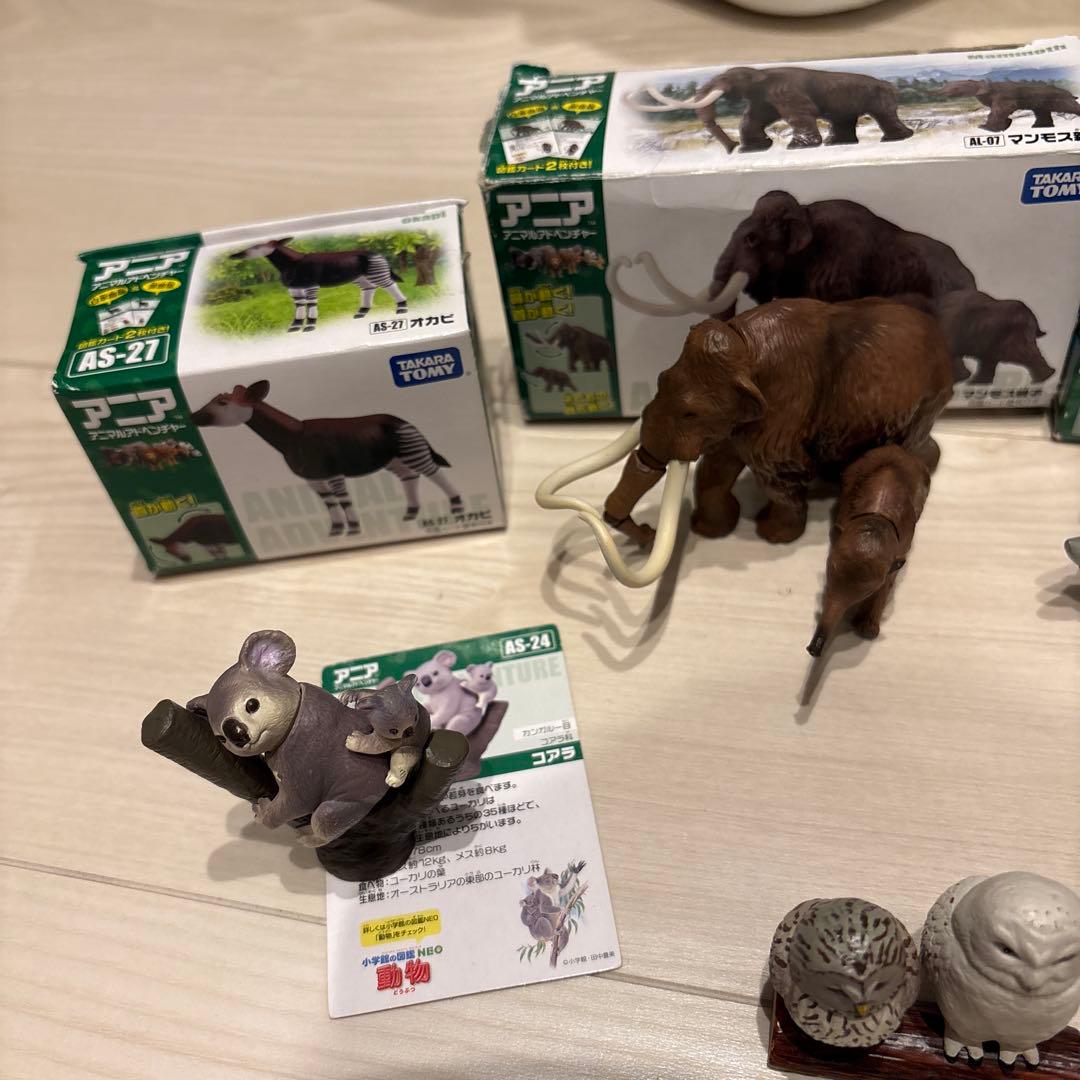 アニア　廃盤　まとめ売り