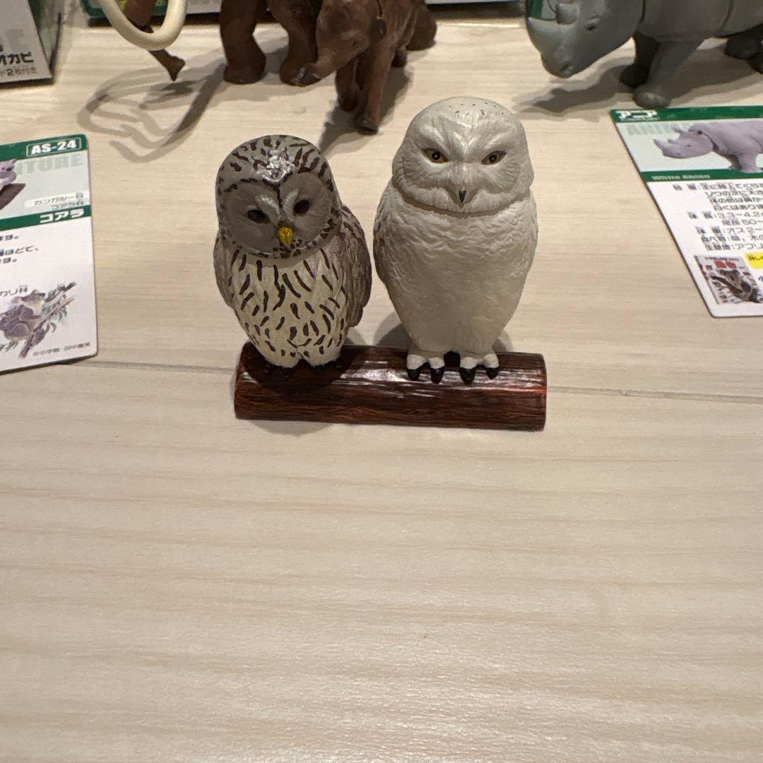 アニア　廃盤　まとめ売り