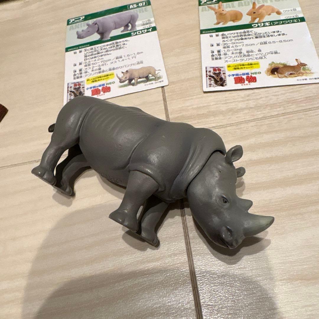 アニア　廃盤　まとめ売り