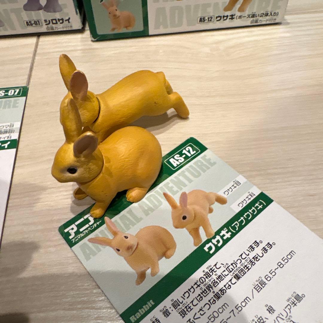 アニア　廃盤　まとめ売り