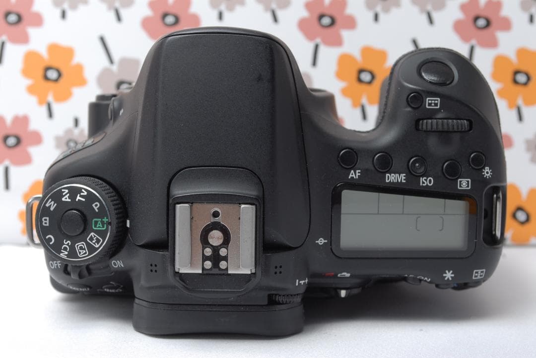 ❤Canon EOS 70D❤元気なお子様の撮影に❤高速AF＆連写で瞬間撮影❤