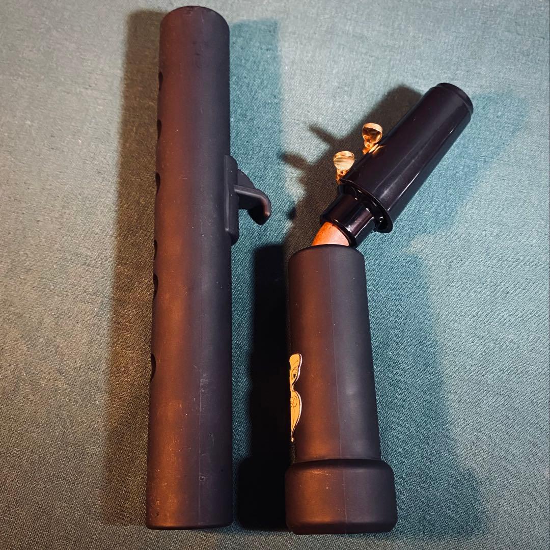 Saxmonica サクスモニカ