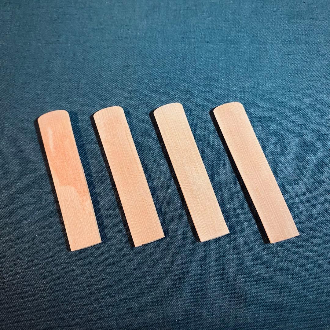 Saxmonica サクスモニカ