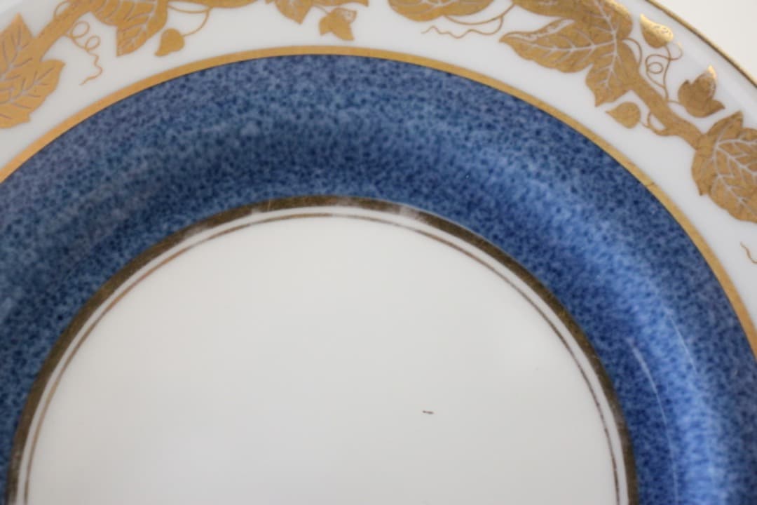 ウェッジウッド　パウダーブルー　果実　１５cmプレート　ペア