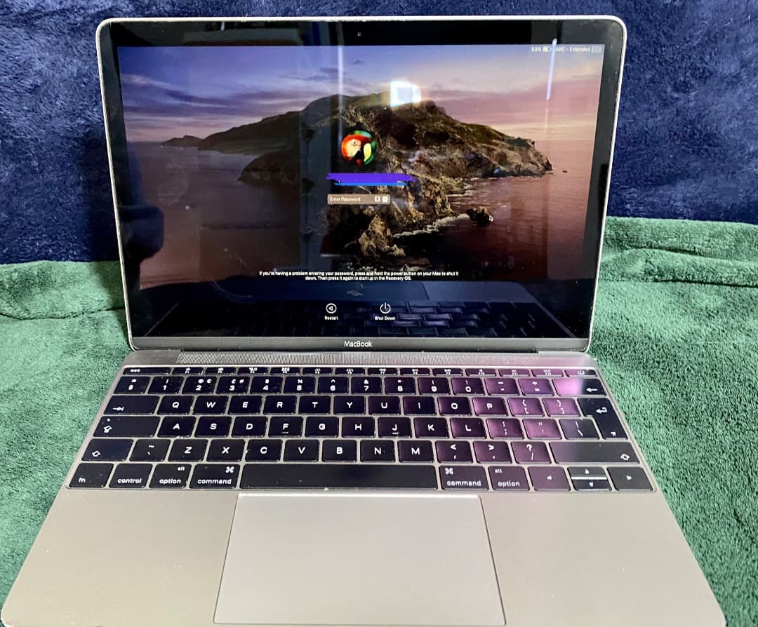 MacBook本体 Apple MacBook Retina 12\" A1534 2015