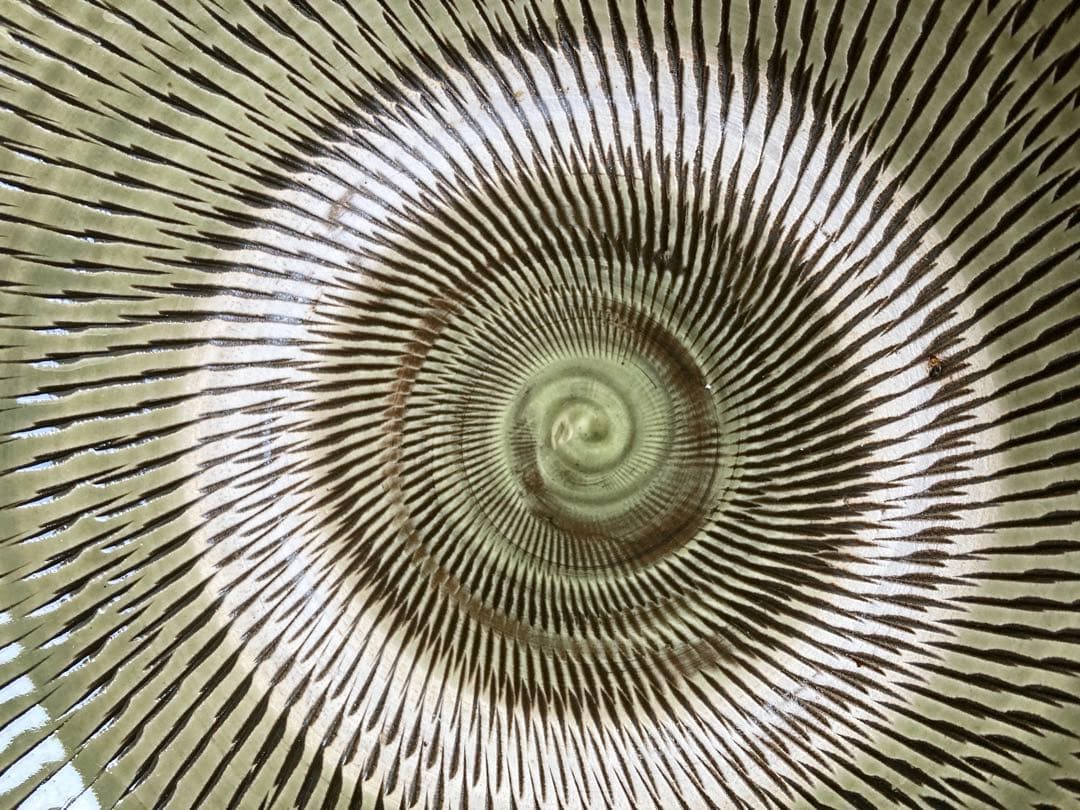 小鹿田焼　黒木昌伸窯　八寸皿　飛び鉋（フチに櫛目）　白