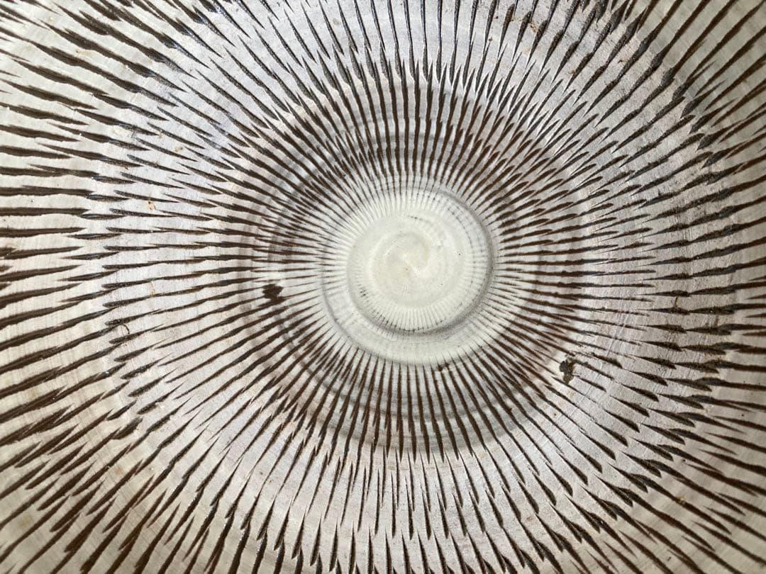 小鹿田焼　黒木昌伸窯　八寸皿　飛び鉋（フチに櫛目）　白