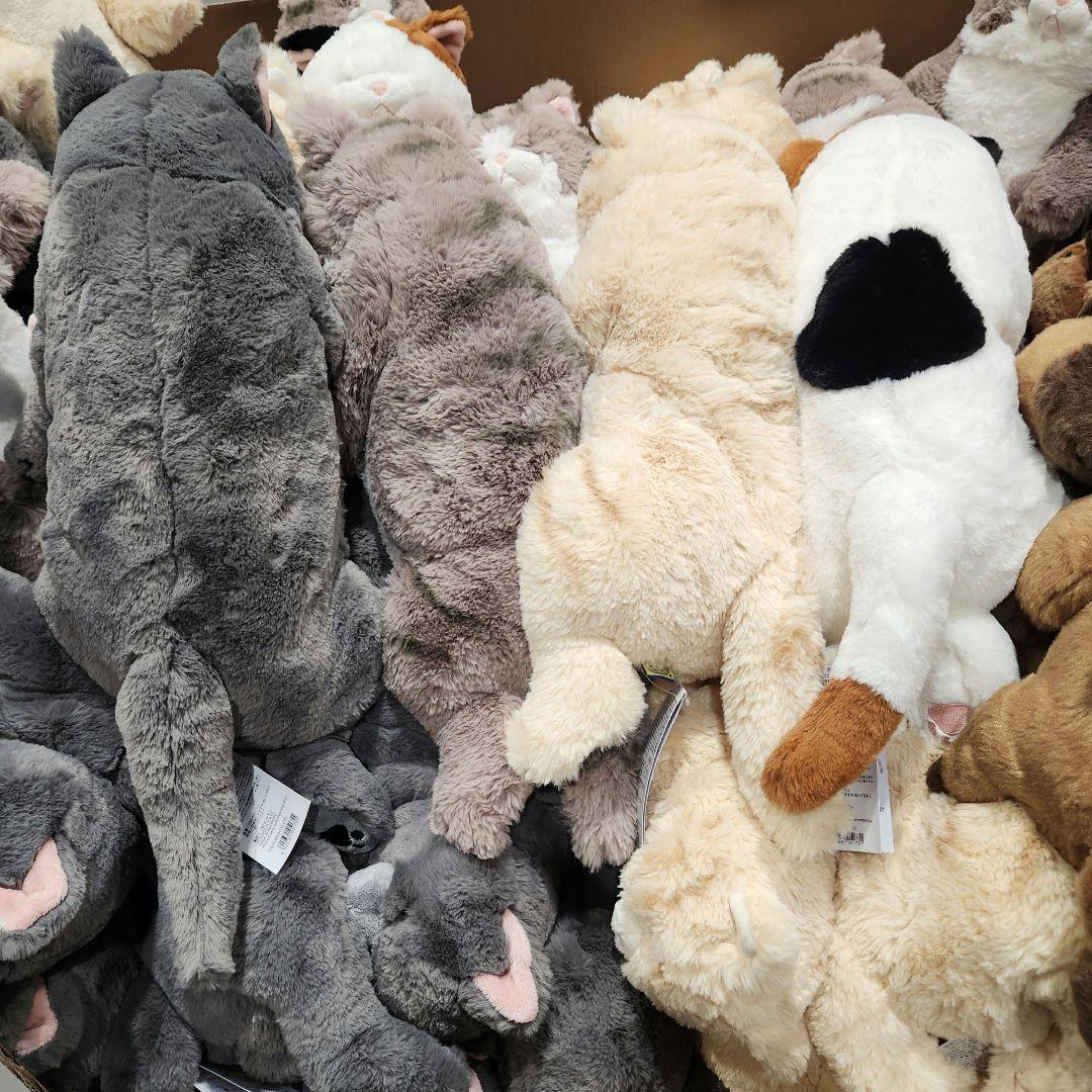 サンレモン ひざねこ すやすや L サイズ 4色