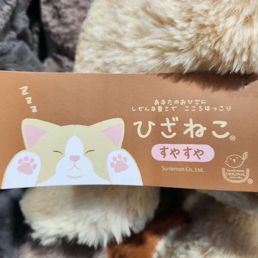 サンレモン ひざねこ すやすや L サイズ 4色