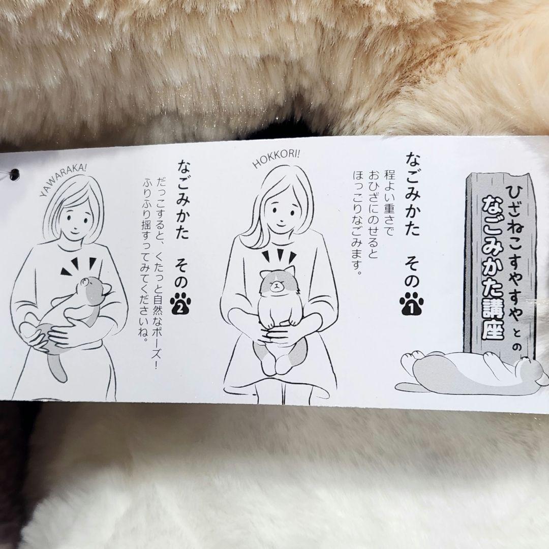 サンレモン ひざねこ すやすや L サイズ 4色