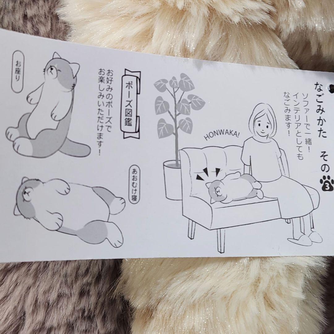サンレモン ひざねこ すやすや L サイズ 4色